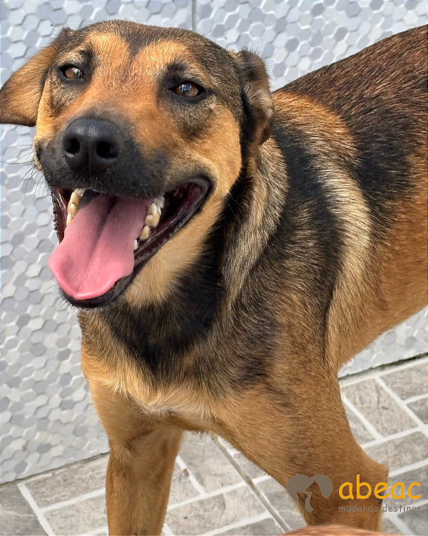 Ramona-Sasha - 03 anos