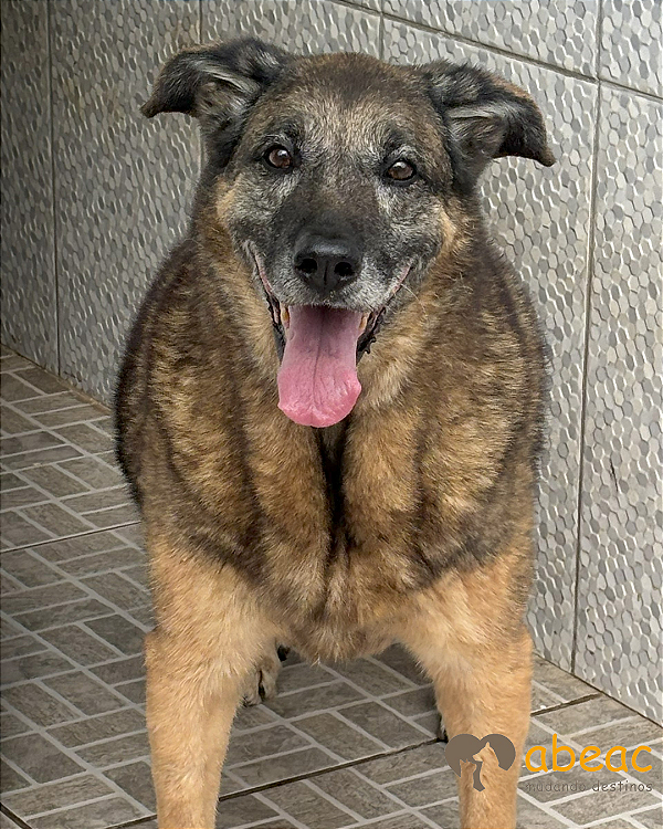 Sofia-Mairiporã - 08 anos