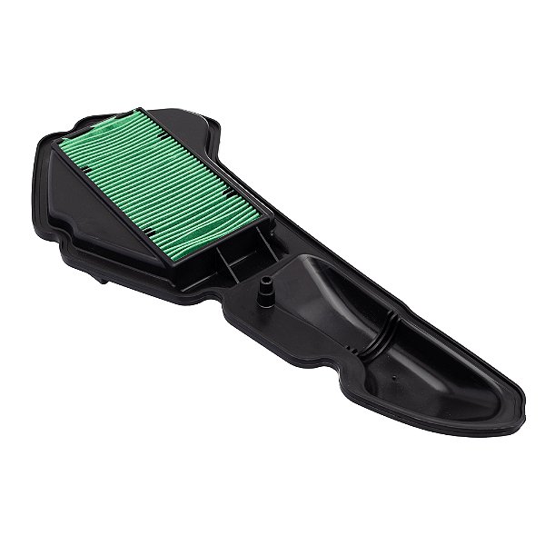 Elemento Filtro De Ar Eksim Pcx 150 19