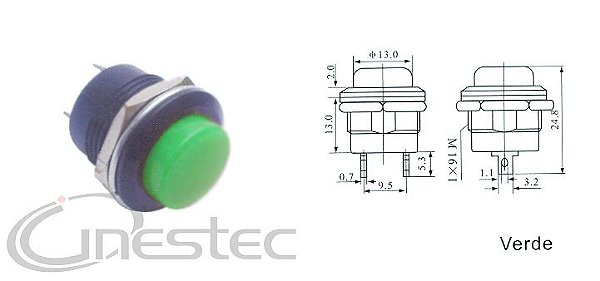 CHAVE PUSH BOTON GRANDE NA 2T VERDE R13-507