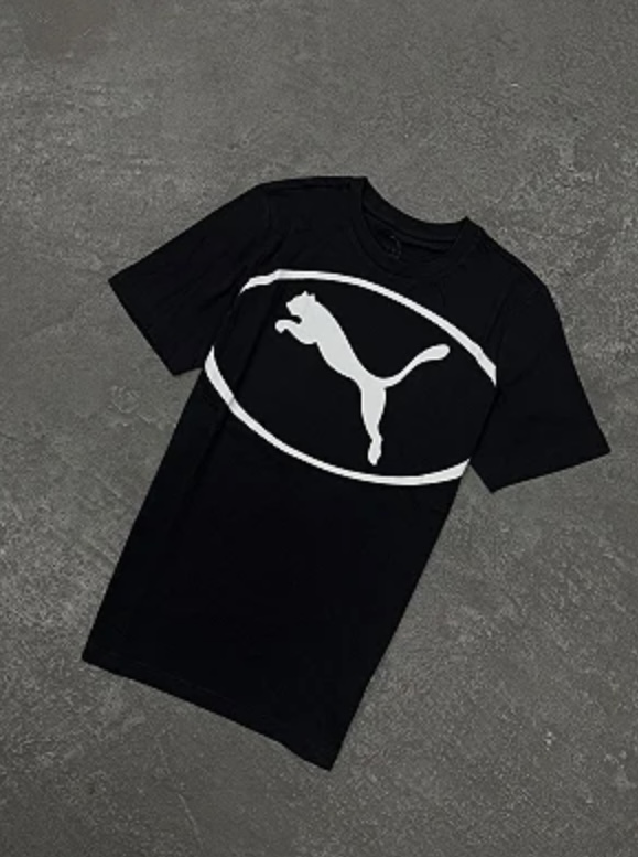 Camiseta Puma Sport Graphic Tee Black