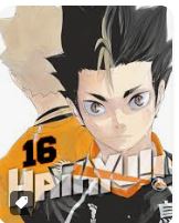 MANGÁ - HAIKYU - VOL: 16
