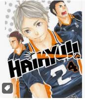 MANGÁ - HAIKYU - VOL: 04