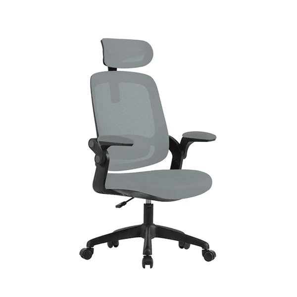 Cadeira De Escritório Ergonômica Elements Astra Cinza Preto