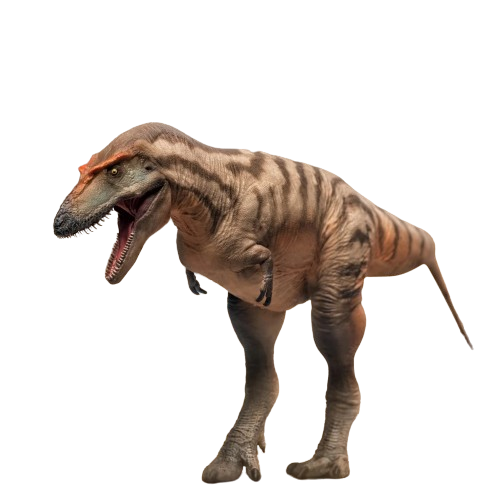 Figure Gorgosaurus Tristan the Gorgosaurus 071 - Original PNSO