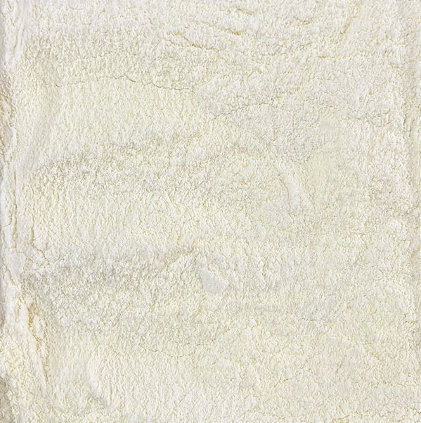 LEITE EM PO DESNATADO 100G