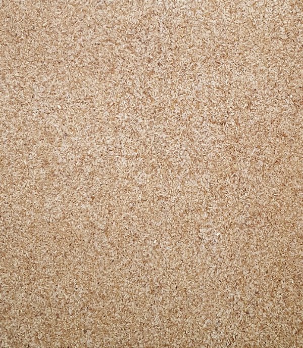 PSYLLIUM HUSK 100G