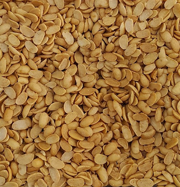SOJA TORRADA C/ SAL 100G