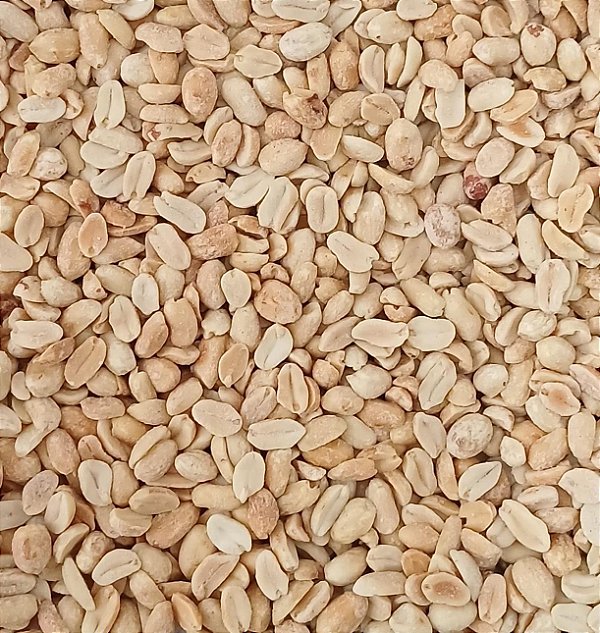 AMENDOIM TORRADO S/ PELE C/ SAL 100G
