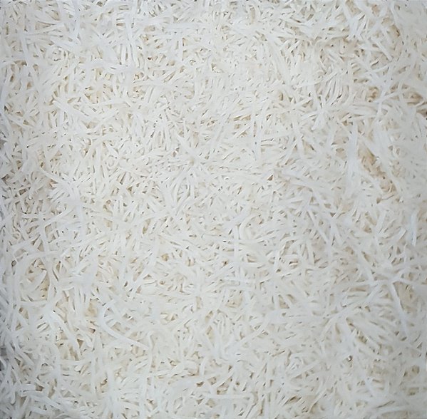 COCO EM FLOCOS S/ AÇUCAR 100G