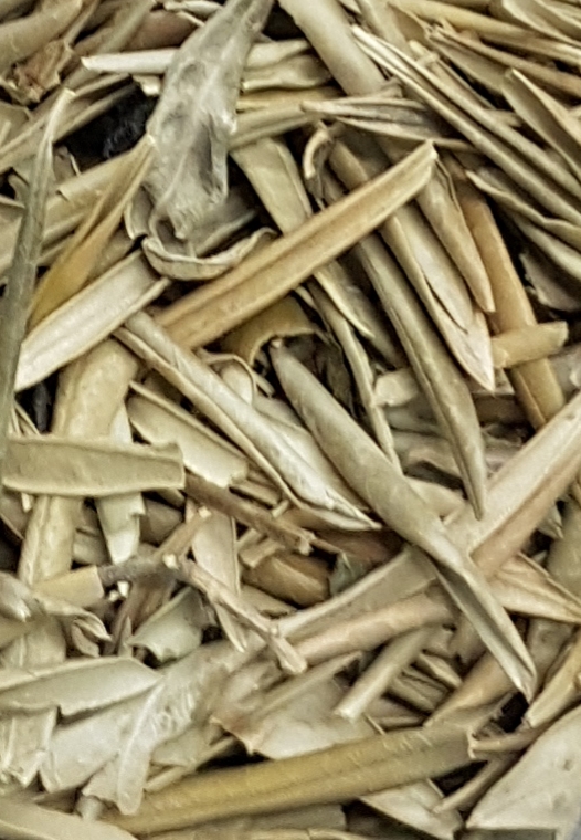 OLIVEIRA 100G