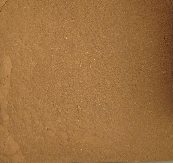CANELA EM PÓ PURA 100G