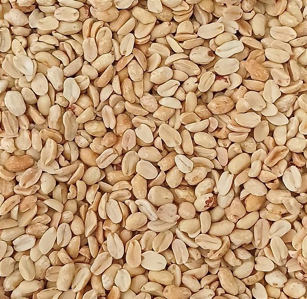 AMENDOIM TORRADO S/ PELE S/ SAL 100G