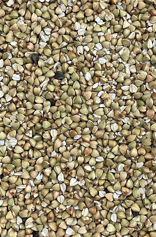 TRIGO MOURISCO / SARRACENO EM GRAO 100G