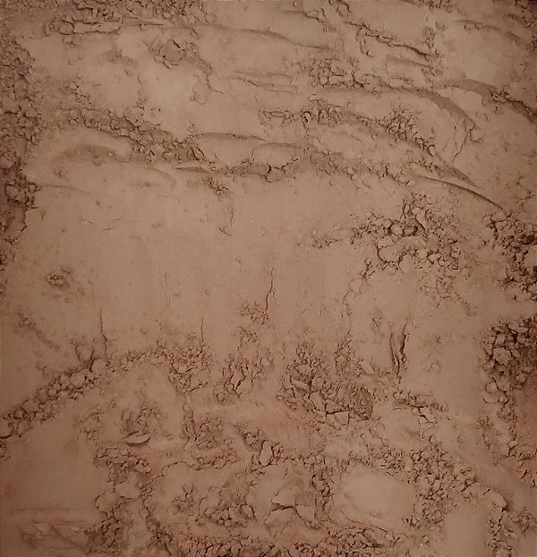 CACAU EM PÓ ALCALINO 100G