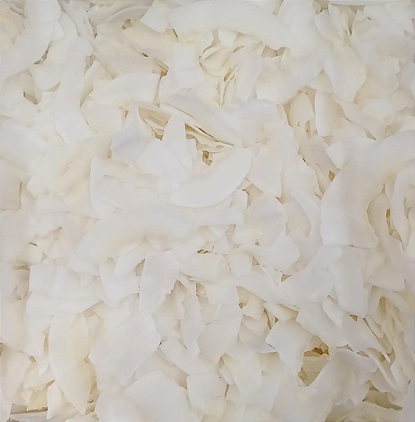 COCO CHIPS S/ BORDA S/ AÇUCAR 100G