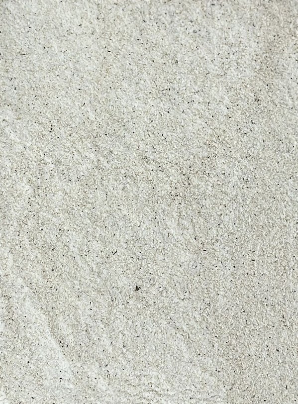 FARINHA DE TRIGO MOURISCO / SARRACENO 100G