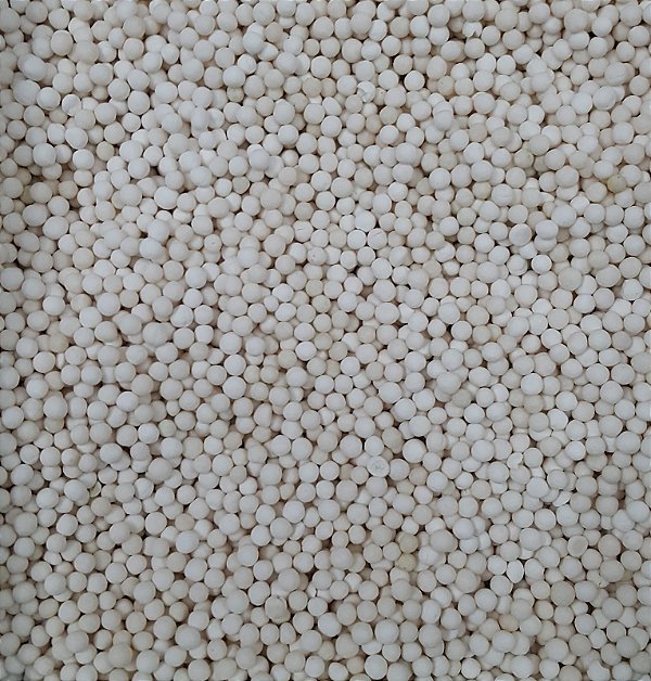 SAGU 100G