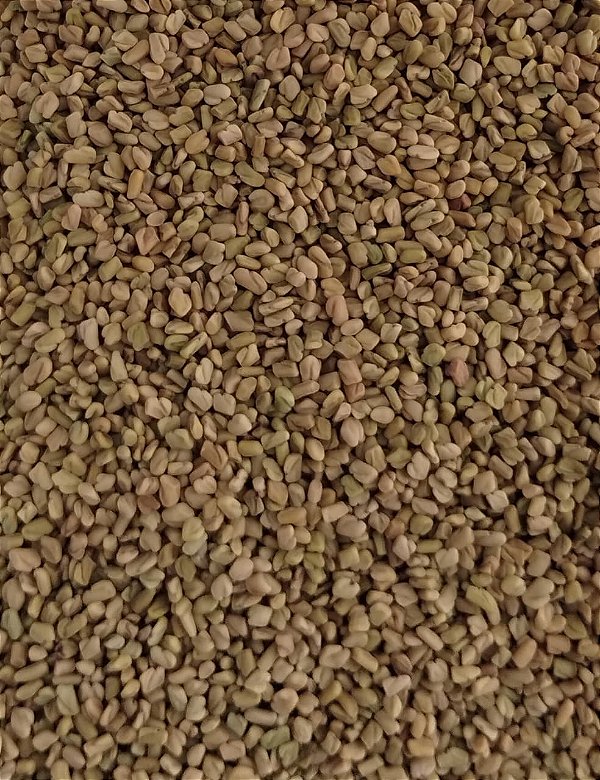 FENO GREGO GRAOS 100G