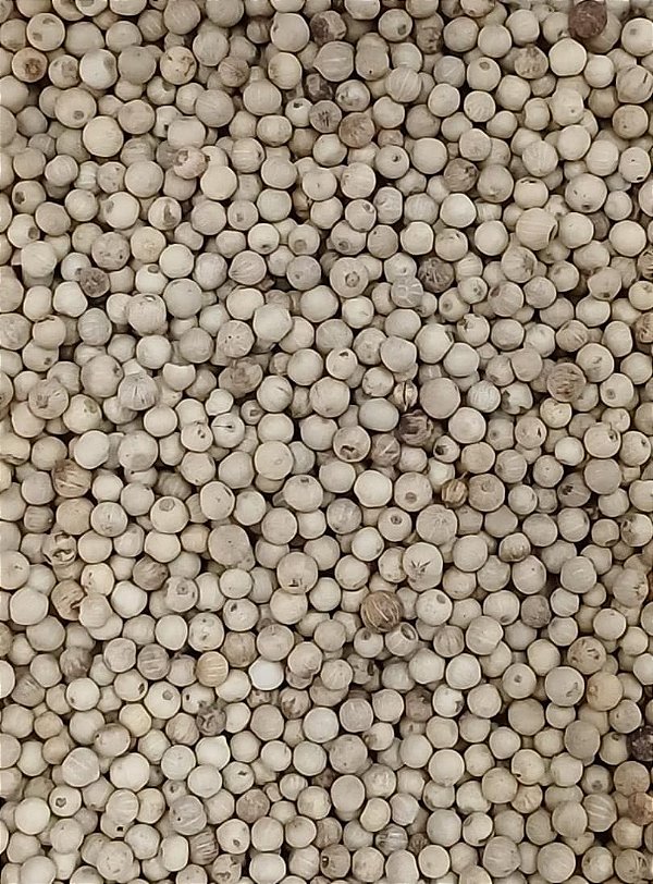 PIMENTA BRANCA GRAOS 100G