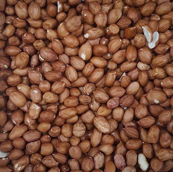 AMENDOIM CRU C/ PELE 100G