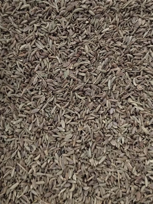 COMINHO GRAO 100G