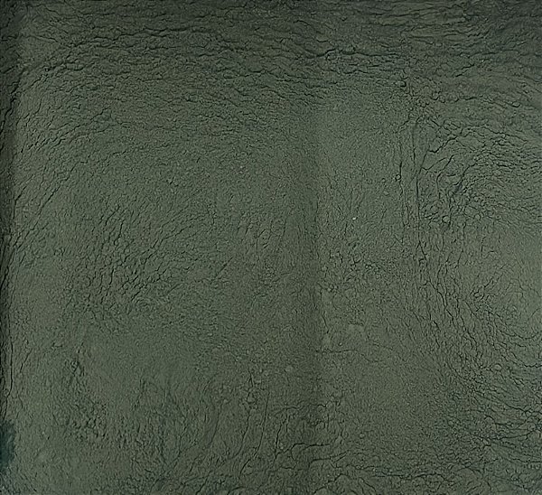 SPIRULINA EM PÓ 100G