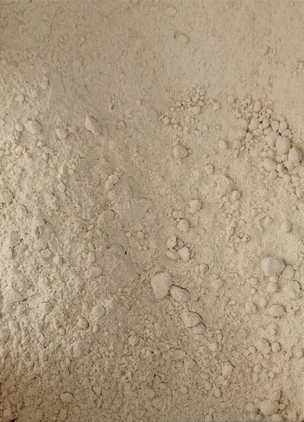 CEBOLA EM PO 100G