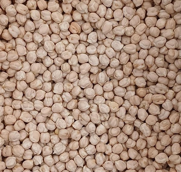 GRAO DE BICO 100G