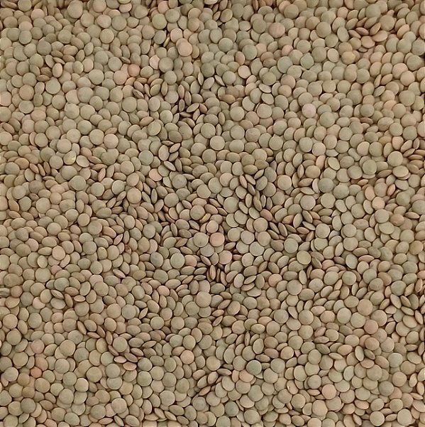 LENTILHA 100G