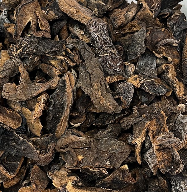 FUNGHI SECO 100G