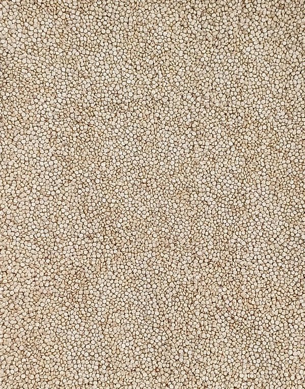QUINOA EM GRÃOS 100G