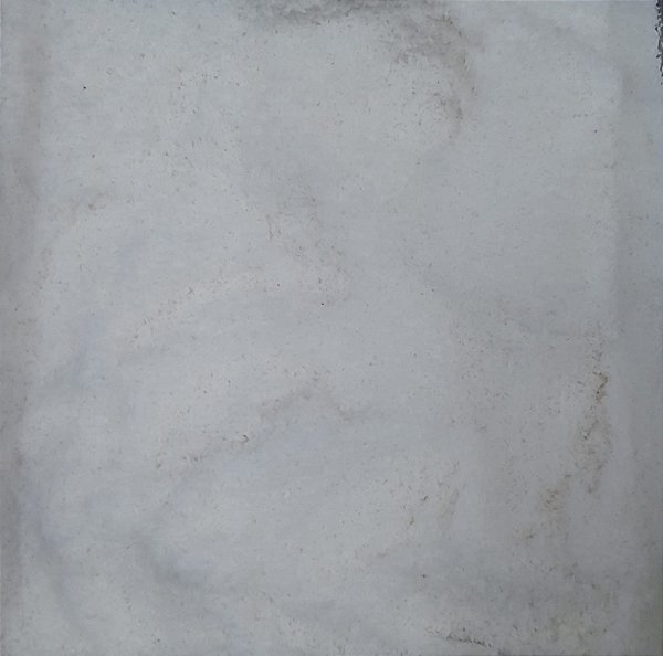 COCO RALADO S/AÇUCAR 100G
