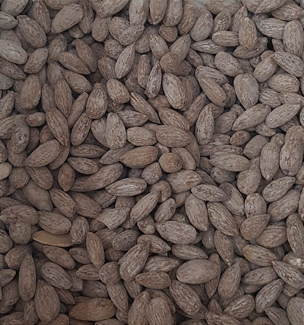 AMENDOA TORRADA E SALGADA 100G