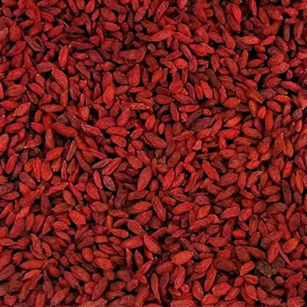 GOJI BERRY DESIDRATADO 100G
