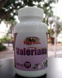 VALERIANA 120CAP - 500MG - REI TERRA