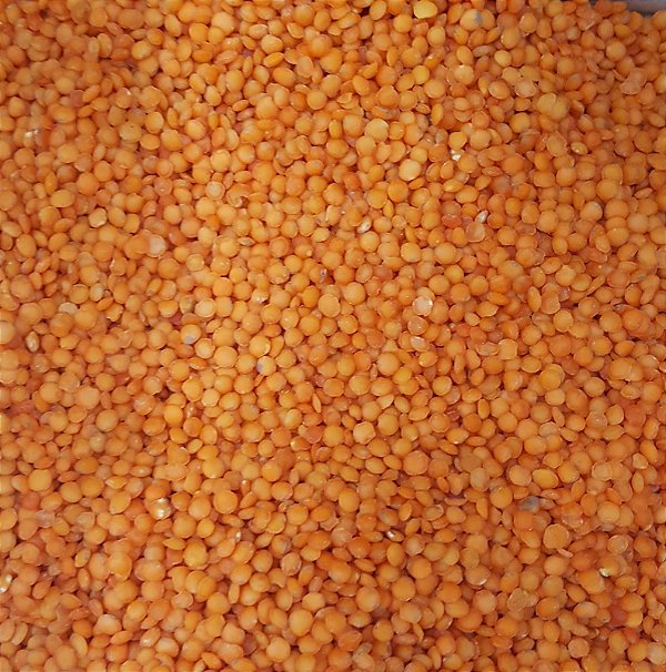 LENTILHA VERMELHA 100G