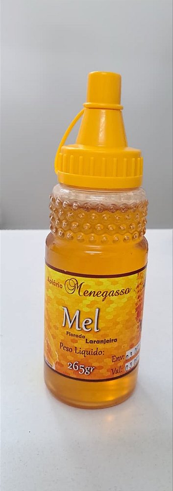 MEL BISNAGA 265G - LARANJEIRA - APIARIO MENEGASSO