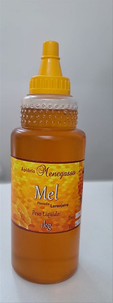 MEL BISNAGA 1KG - LARANJEIRA - APIARIO MENEGASSO