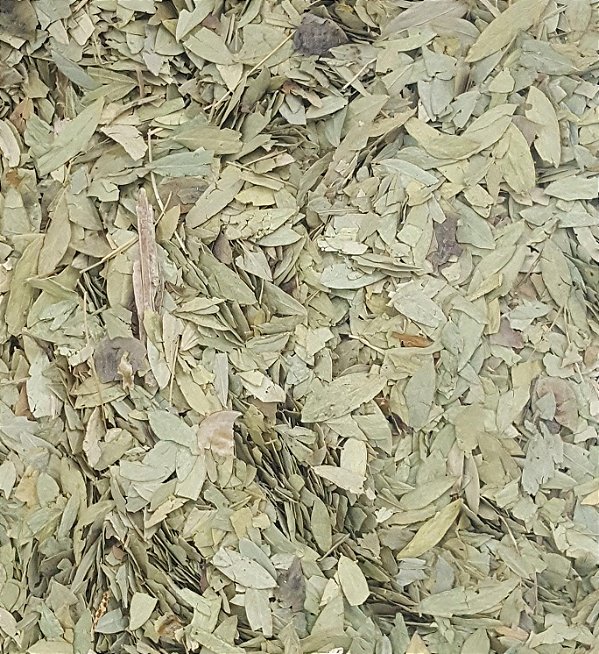 SENE 100G