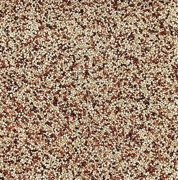 QUINOA MIX BRANCA VERMELHA PRETA 100G