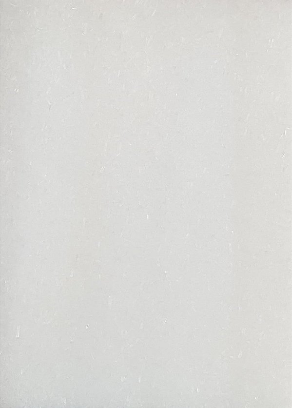 AJINOMOTO / GLUTAMATO 100G