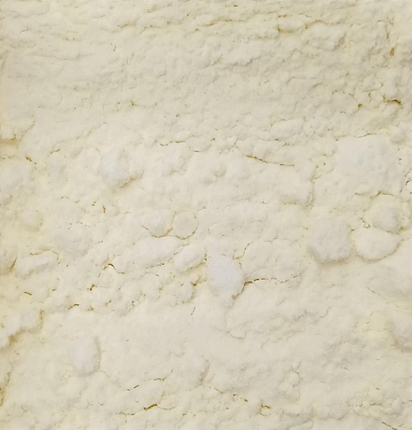 LEITE EM PO INT. ZERO LACTOSE - 100G