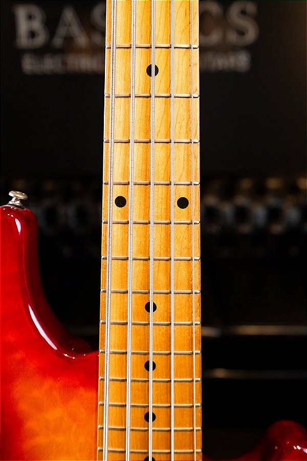 Baixo Lakland Skyline 55-02 (5 cordas)