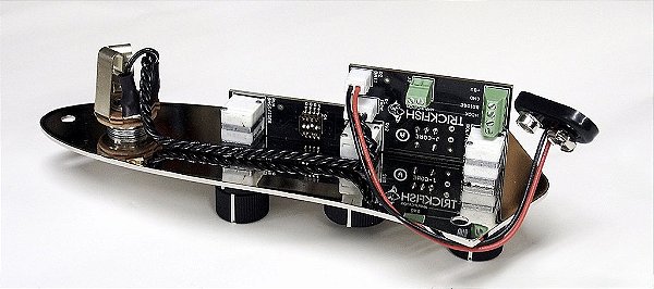 Preamp Trickfish J-Core Preamp (2 band with Knobs)