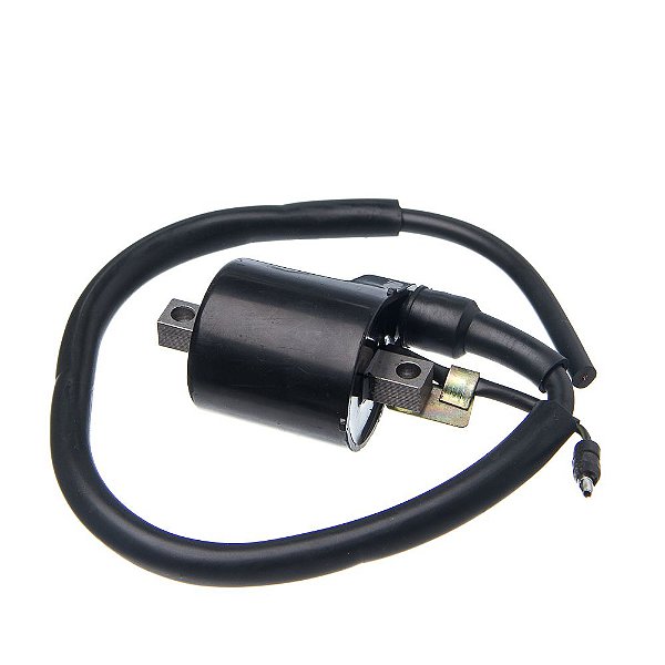 Bobina Ignicao Condor 12v Biz 125 05 A 08 [F016]
