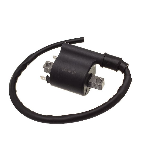 Bobina Ignicao Condor 12v Cg 125 2009/ [F016]