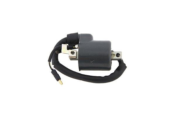 Bobina Ignicao Condor 12v Cg 150 [F016]