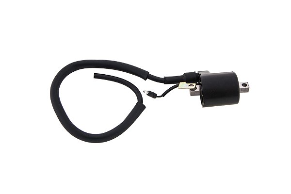 Bobina Ignicao Condor 12v Pop 100 [F016]