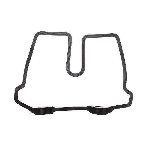 Guarnicao Da Tampa De Valvulas Gp7 Cbx 250 Tw 01/08 [F016]